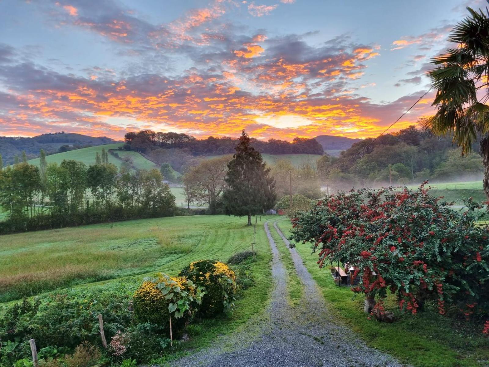 "Chez Naty" Chambres D'Hotes Au Pays-Basque Cheraute Экстерьер фото